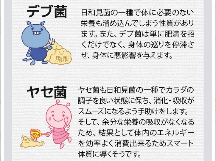 121種類の酵素と乳酸菌について