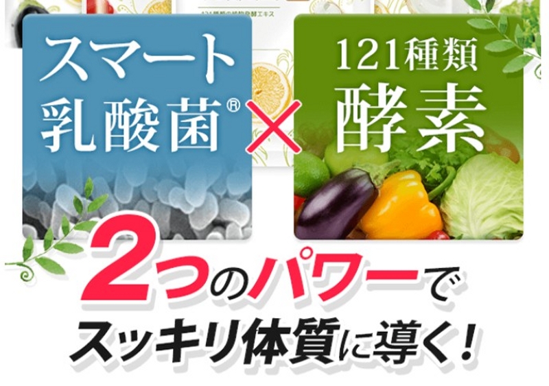 121種類の酵素と乳酸菌の驚きの効果と成分情報サイト